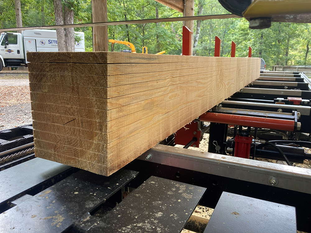 Black walnut slab